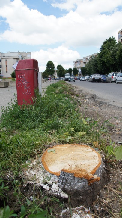 Imagini din sudul litoralului. Cum comentaţi? Imagini din sudul litoralului. Cum comentaţi?