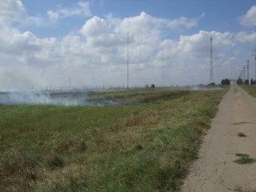 Pompierii s-au chinuit mai bine de 3 ore să stingă un incendiu la Hârşova: au murit trei capre şi păsări