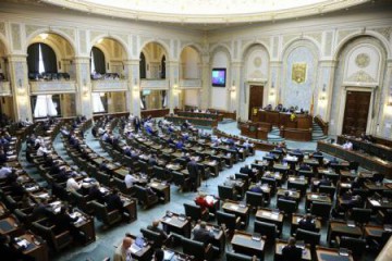 Camera Deputaţilor a respins solicitarea ACL privind dezbaterea Legii amnistiei şi graţierilor