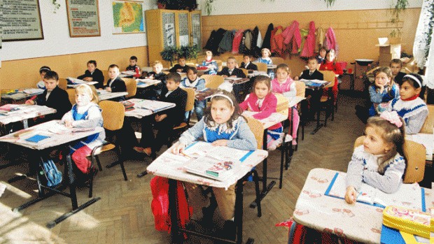 Guvernul taie raţia de miere pentru elevii claselor I-IV, să facă economii!
