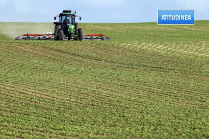 Zeci de hectare de teren din Siliştea, scoase la vânzare de familia unui profesor de la Harvard Zeci de hectare de teren din Siliştea, scoase la vânzare de familia unui profesor de la Harvard
