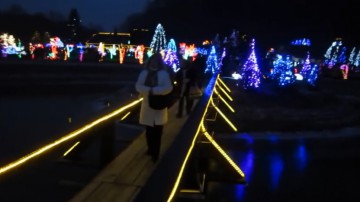 SPECTACOL DE CRĂCIUN: Un fost inginer din Croaţia şi-a decorat casa cu 1.500.000 de luminiţe