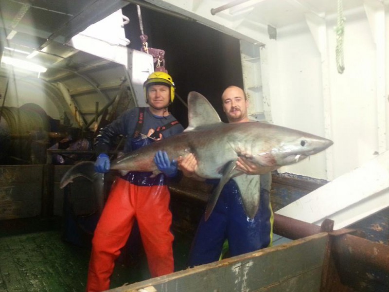 Un pescar din Jurilovca a naufragiat alături de alţi patru colegi în Atlantic Un pescar din Jurilovca a naufragiat alături de alţi patru colegi în Atlantic