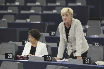 Noul program transfrontalier pentru îmbunătăţirea navigabilităţii pe Dunăre şi Marea Neagră, adoptat
