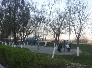 Au înflorit magnoliile în Parcul ”Ion Dobre”: năvodărenii au făcut fitness în prima zi de Paște!