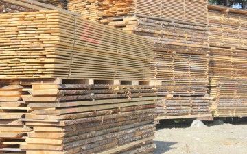 Exportul de buşteni, cherestea şi lemne de foc, interzis timp de 5 ani