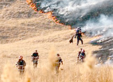 Incendiu în Parcul Tăbăcărie, chiar lângă Microrezervaţie