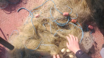 Plase monofilament abandonate în Marea Neagră, confiscate de poliţişti
