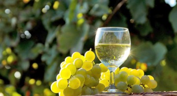 Zece medalii cu aur pentru Casa de Vinuri Cotnari