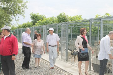Primarii din judeţ au dezbătut la Cernavodă problema câinilor fără stăpân