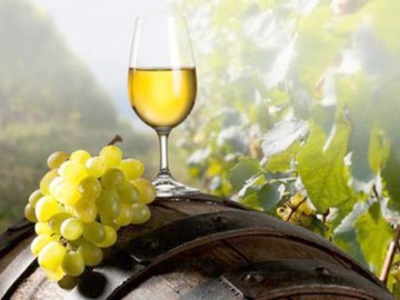 Chardonnay, regele vinurilor albe