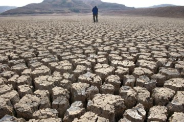 SECETA compromite culturile. Guvernul vrea să subvenţioneze energia electrică pentru irigaţii