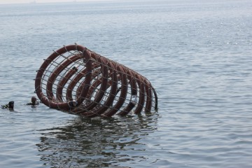Proiect de amploare în Constanţa: opt recife, instalate în Marea Neagră