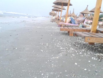 Legea privind acordarea voucherelor de vacanţă a fost promulgată
