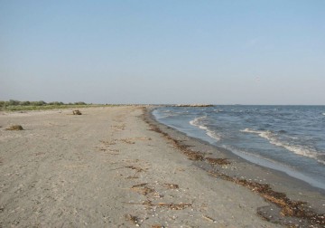 Plaja de la Sulina ar putea deveni şi mai sălbatică