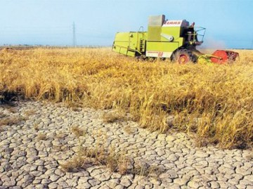 Seceta continuă şi în următoarea perioadă