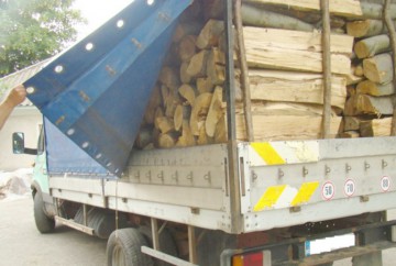 Transport ilegal de material lemnos, oprit la Isaccea