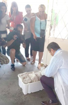 Staţiunea tineretului te bagă în spital: agenţii economici vând carne stricată şi peşte cu muşte