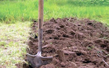 O femeie din Cerchezu a descoperit un craniu în pământ