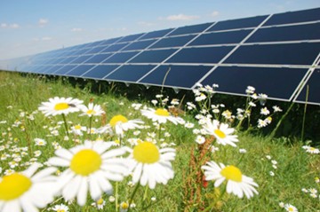 Ministrul Energiei a inaugurat prima investiție „verde” a Electrocentrale Grup