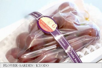 Un ciorchine de struguri „perfecţi”, vândut în Japonia pentru o sumă record