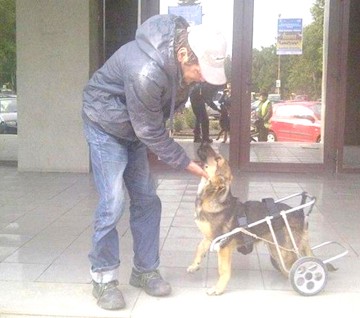 Făgădău şi-a pus în cap iubitorii de animale, după cazul Bursuc