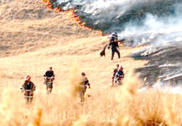Incendiu la Pecineaga şi Mamaia