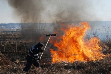 ALARMANT! Incendiile de vegetaţie uscată au crescut cu peste 300%, la Constanţa