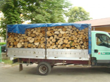 Gărzile forestiere vor efectua controale silvice la nivel național