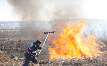 Constanţa, pârjolită de incendii de vegetaţie uscată. De patru ori mai multe cazuri ca în 2014!