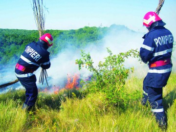 Incendii de vegetaţie uscată în judeţul Constanţa. Bilanţul pompierilor: 15 solicitări în 48 de ore!