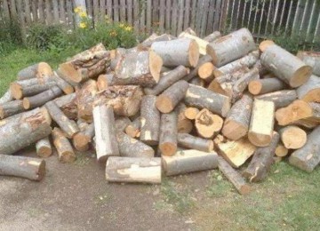 Încă un transport ilegal de material lemnos, oprit la Cernavodă