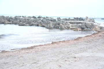 Primăria Mangalia, muncă de lămurire cu operatorii de plaje, să strângă algele şi gunoiul