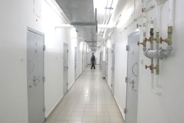 Au furat un motor de barcă şi au ajuns în spatele gratiilor