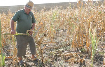 Agrometeo: Rezerva de apă din solul agricol rămâne deosebit de scăzută