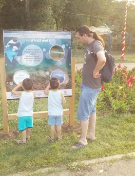 De Ziua Delfinului, descoperă „Marea Neagră în imagini”
