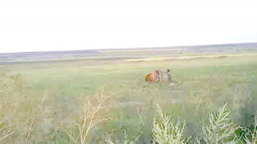 A furat o maşină dintr-o spălătorie şi s-a răsturnat cu ea pe câmp!