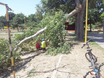 Atenţie! Cad crengi de copaci în parcul din Poarta 6
