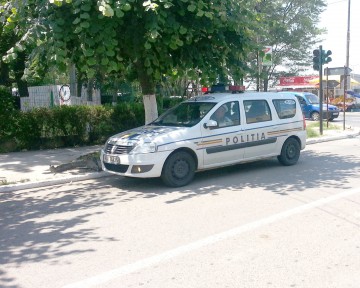 Dosare penale: prinşi băuţi sau fără permise