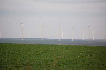 De la El Dorado, la tărâmul pierzaniei