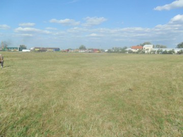 Fiica lui Isărescu, şefă peste 120 de hectare de teren din Bucureşti şi Constanţa