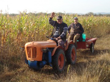 Ce trebuie să facă fermierii pentru a primi despăgubiri