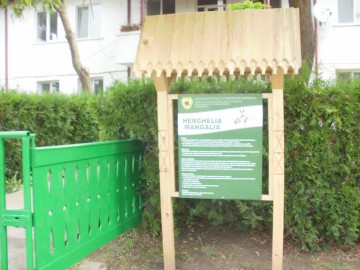 Ce schimbări a făcut Constantin Ancuţa de când a revenit la Herghelia Mangalia: “Am arborat steagul României!”