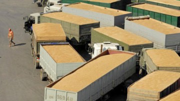 Ameropa construieşte un nou terminal de export de cereale la Constanţa