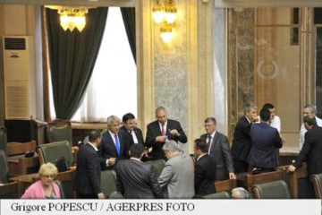Liderii grupurilor PSD şi UDMR din Senat, schimbaţi