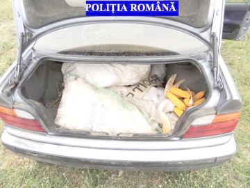 Maşină încărcată cu porumb furat, depistată de poliţişti
