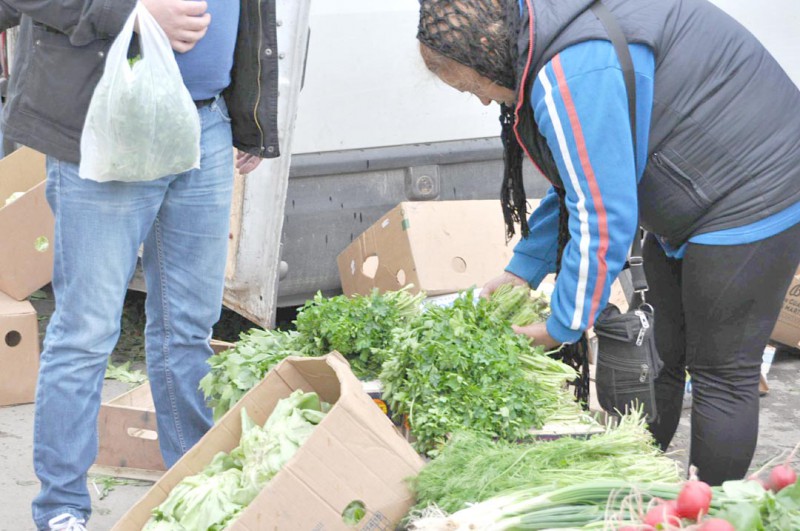 Primăria declară tonetelor de legume și fructe război prin... concurs cu premii! Primăria declară tonetelor de legume și fructe război prin... concurs cu premii!