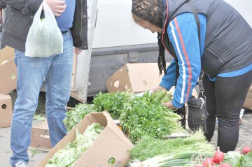 Primăria declară tonetelor de legume și fructe război prin... concurs cu premii!