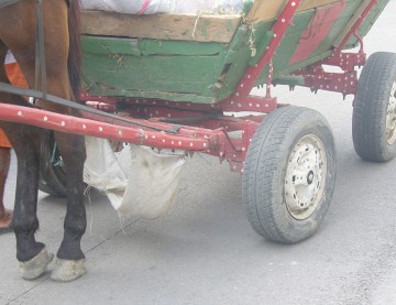 Imagini de pe strada Ştefăniţă Vodă, cartierul Henri Coandă! Vă place?
