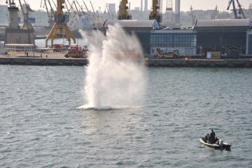 Exercițiul militar Histria 15 s-a încheiat